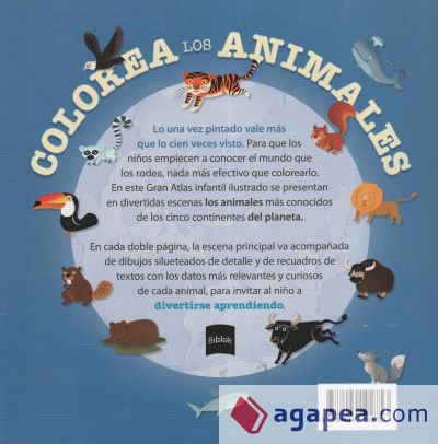 Colorea los animales