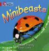 Big Cat- Minibeasts