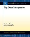 Big Data Integration