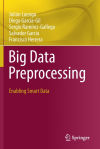 Big Data Preprocessing