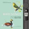Bird Songs: 250 North American Birds in Song
