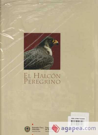 El halcón peregrino El halcón peregrino