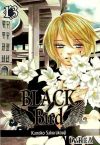 Black bird 13