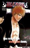 Bleach SOULs. Official Character Book