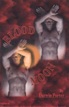 Portada de Blood Moon-The Erotic Thriller (Ebook)