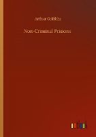 Portada de Non-Criminal Prisions