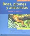 Boas, pitones y anacondas