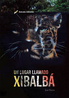 Portada de Un lugar llamado Xibalbá (Ebook)