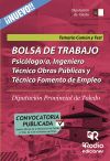 Bolsa De Trabajo. Psicólogo, Ingeniero Técnico Obras Públicas Y Técnico Fomento Empleo. Diputación De Toledo.