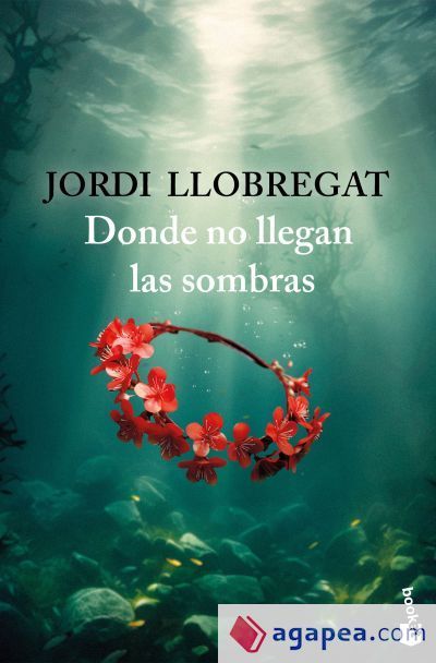 Donde no llegan las sombras