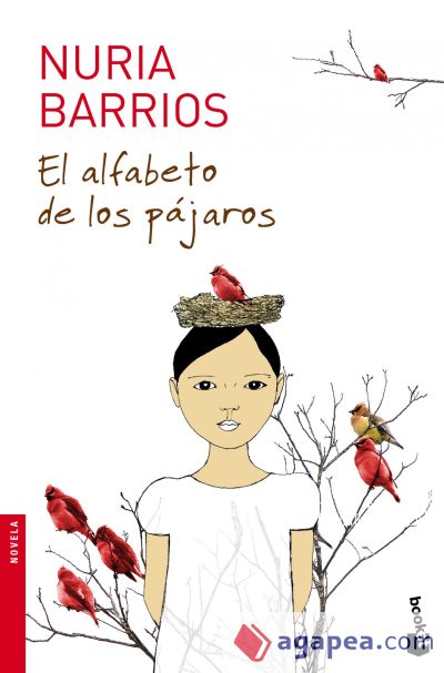 El alfabeto de los pájaros