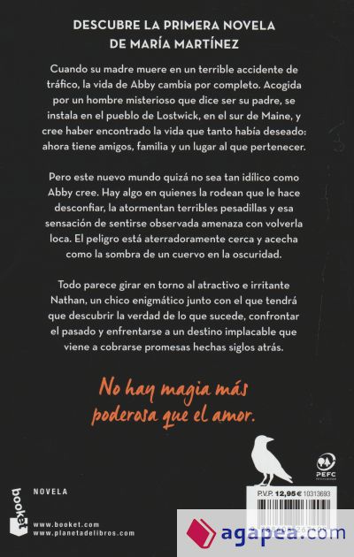El encanto del cuervo - María Martínez – Bookslight