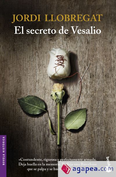 El secreto de Vesalio