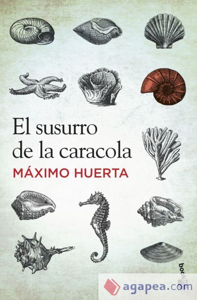 El susurro de la caracola El susurro de la caracola