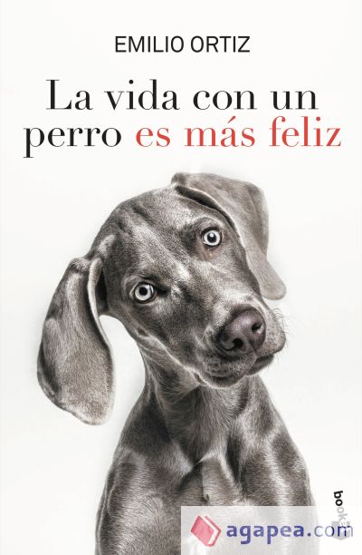 La vida con un perro es más feliz