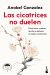 Portada de Las cicatrices no duelen, de Anabel González