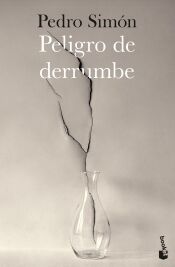 Portada de Peligro de derrumbe