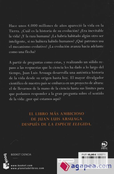 Vida, la gran historia