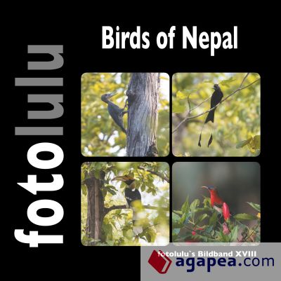 Birds of Nepal: fotolulu`s Bildband XVIII