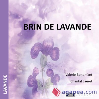 Brin de lavande: Les contes colorés