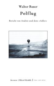 Portada de Polflug: Bericht von Andrée und dem »Adler«