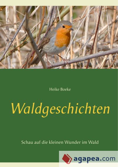 Waldgeschichten: Schau auf die kleinen Wunder im Wald