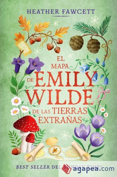 El mapa de Emily Wilde de las Tierras Extrañas El mapa de Emily Wilde de las Tierras Extrañas