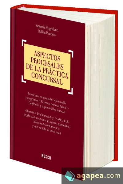 Aspectos procesales de la práctica concursal