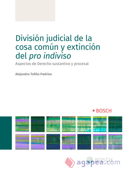 División judicial de la cosa común y extinción del pro indiviso: Aspectos de Derecho sustantivo y procesal