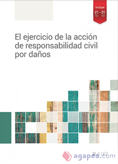 El ejercicio de la acción de responsabilidad civil por daños