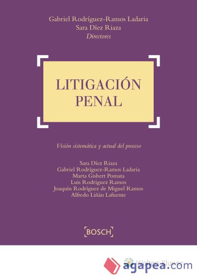 LITIGACION CIVIL