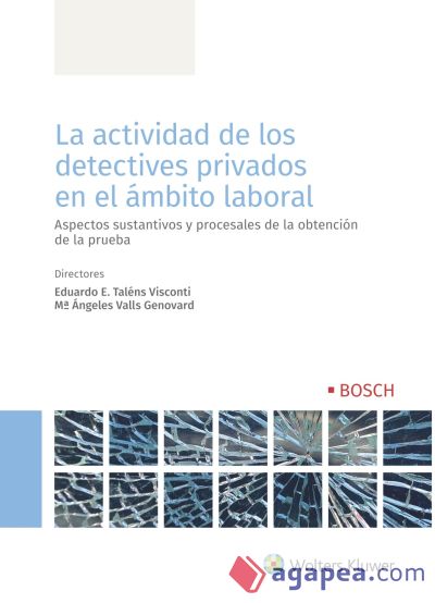 La actividad de los detectives privados en el ámbito laboral: Aspectos sustantivos y procesales de la obtención de la prueba