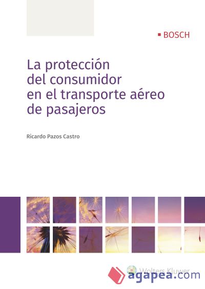 Protección del consumidor en el transporte aéreo de pasajeros, La