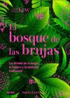Bosque de las brujas