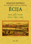 Bosquejo histórico de la ciudad de Écija formado desde sus primitivos tiempos hasta la época contemporánea