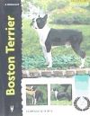 Boston Terrier