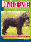 Bouvier de Flandes.