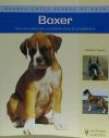 Boxer