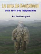 Portada de Le récit des inséparables (Ebook)