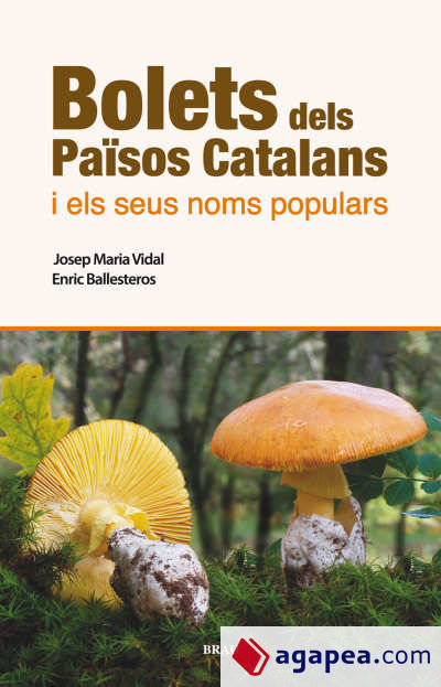 Bolets dels Països Catalans i els seus noms populars