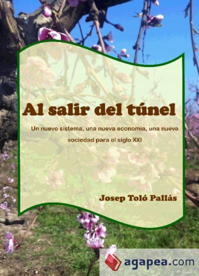 Al salir del t&uacute;nel. Un nuevo sistema, una nueva econom&iacute;a, una nueva sociedad para el siglo XXI (Ebook)