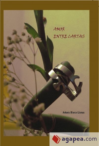 Amor entre cartas (Ebook)