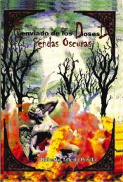 Portada de EL ENVIADO DE LOS DIOSES I I -SENDAS OSCURAS (Ebook)