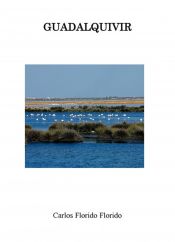 Portada de Guadalquivir (Ebook)