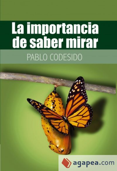 La importancia de saber mirar... (Ebook)