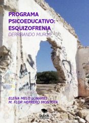 Portada de PROGRAMA PSICOEDUCATIVO: ESQUIZOFRENIA (DERRIBANDO MUROS) (Ebook)