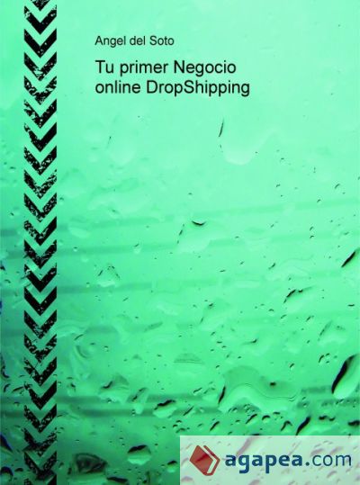 Tu primer Negocio online DropShipping (Ebook)