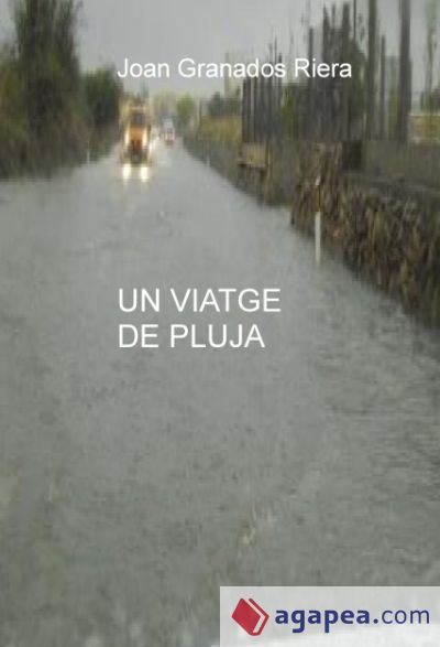 Un viatge de pluja (Ebook)