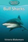 Bull Sharks