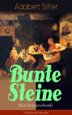 Portada de Bunte Steine (Ein Festgeschenk) (Ebook)